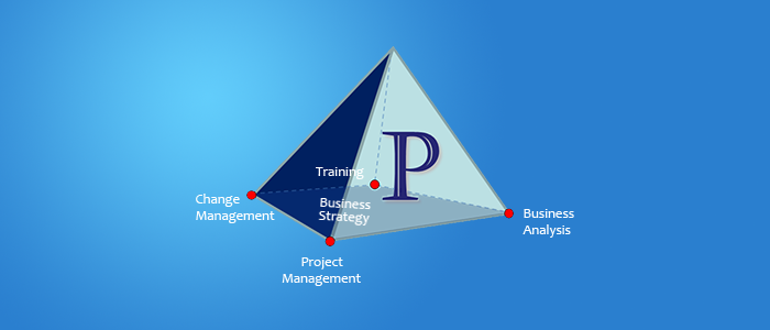 Project Management